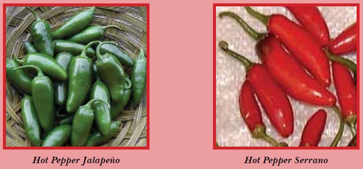 hotpepper-pic4